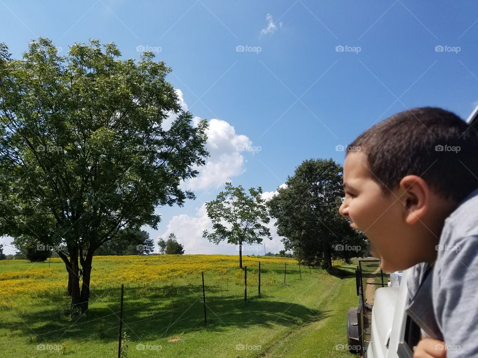 Outdoors, Grass, Landscape, Daylight, Summer