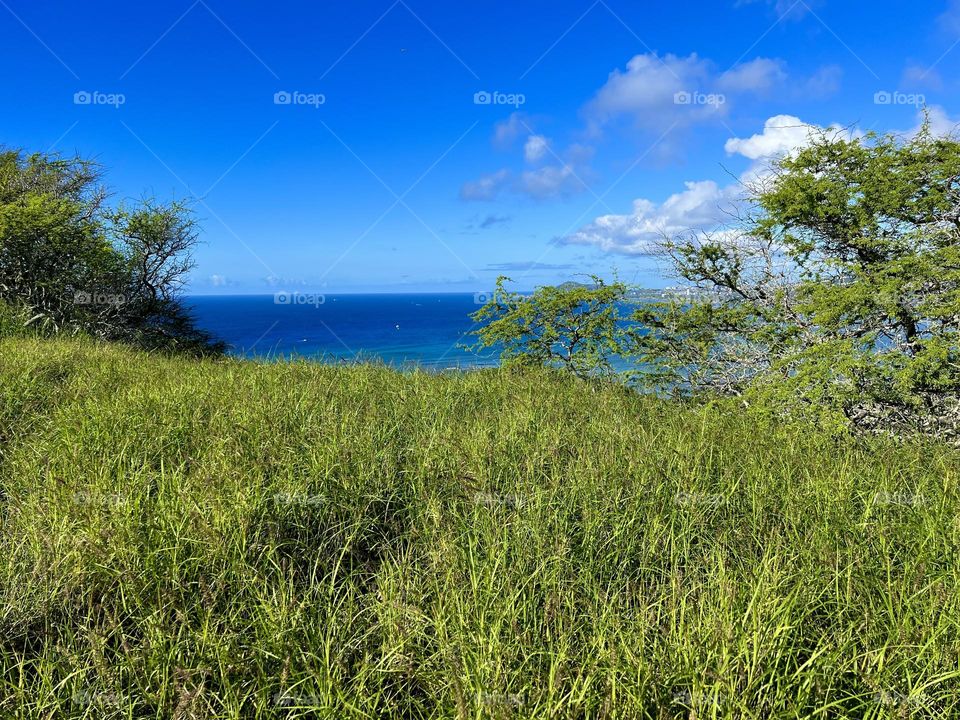 View of Maunalua Bay from the Hanauma Bay Ridge Trail in
Hawaii Kai