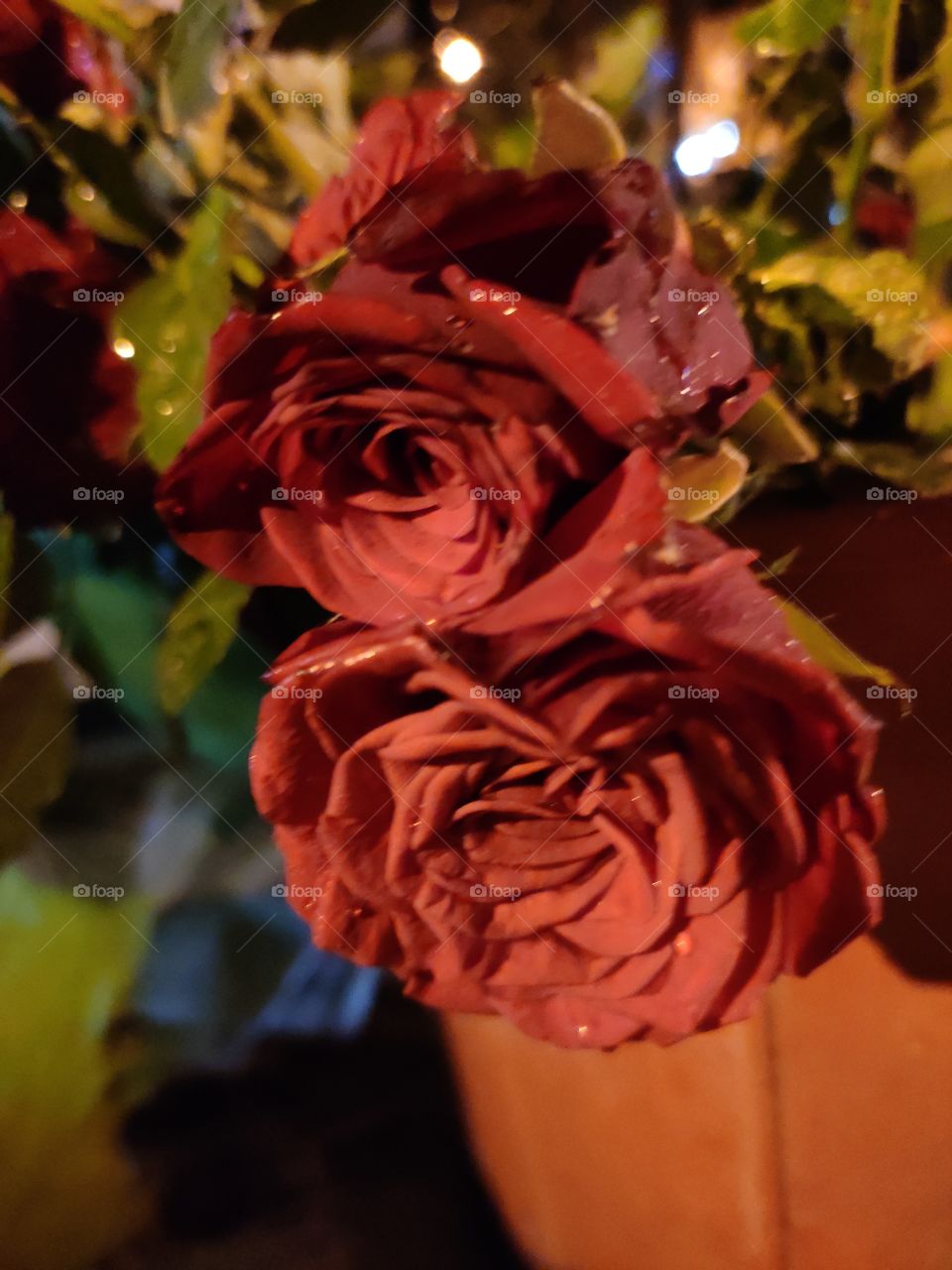 Bright Red Rose, Symbol of Love