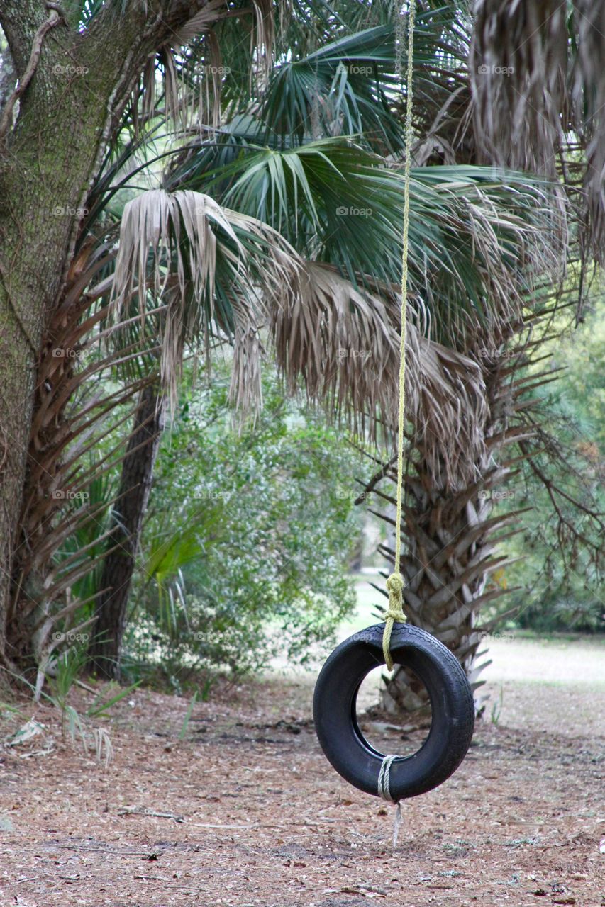 Tire swing