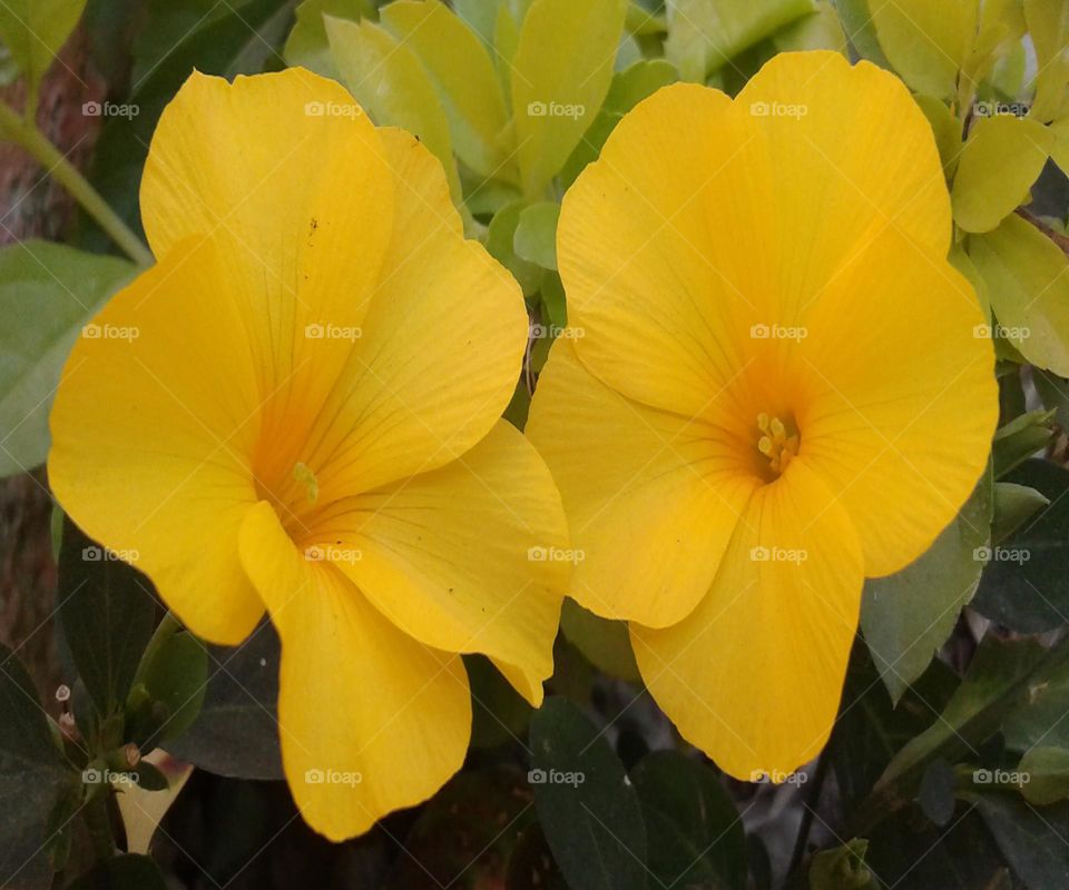 We are made for each other