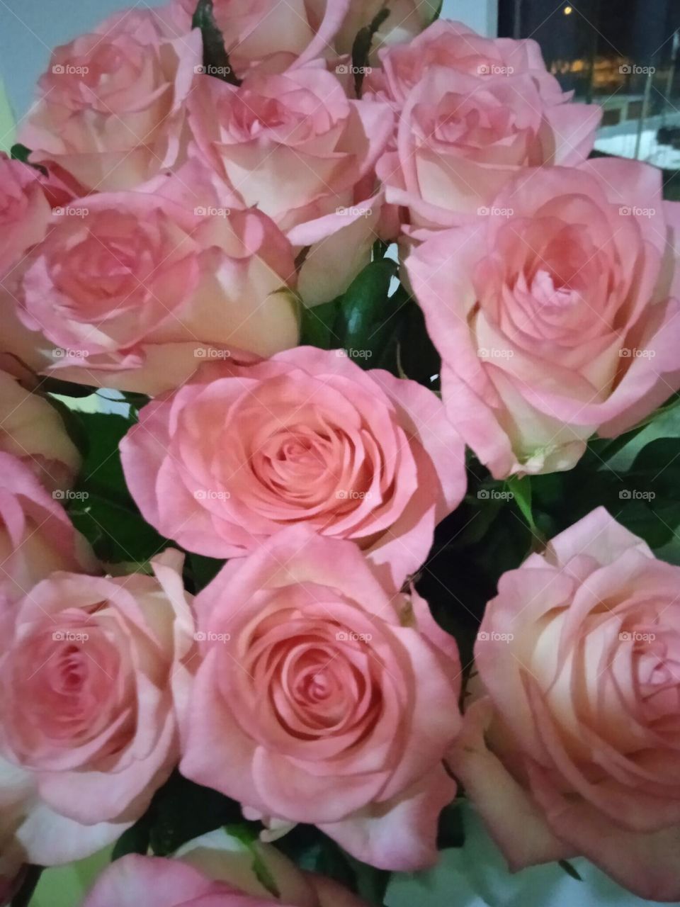 Pink rose - it as a women, gentle, elegant and shy💝