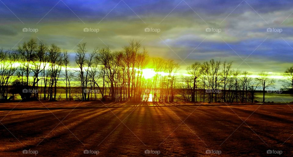 Sunset through the trees