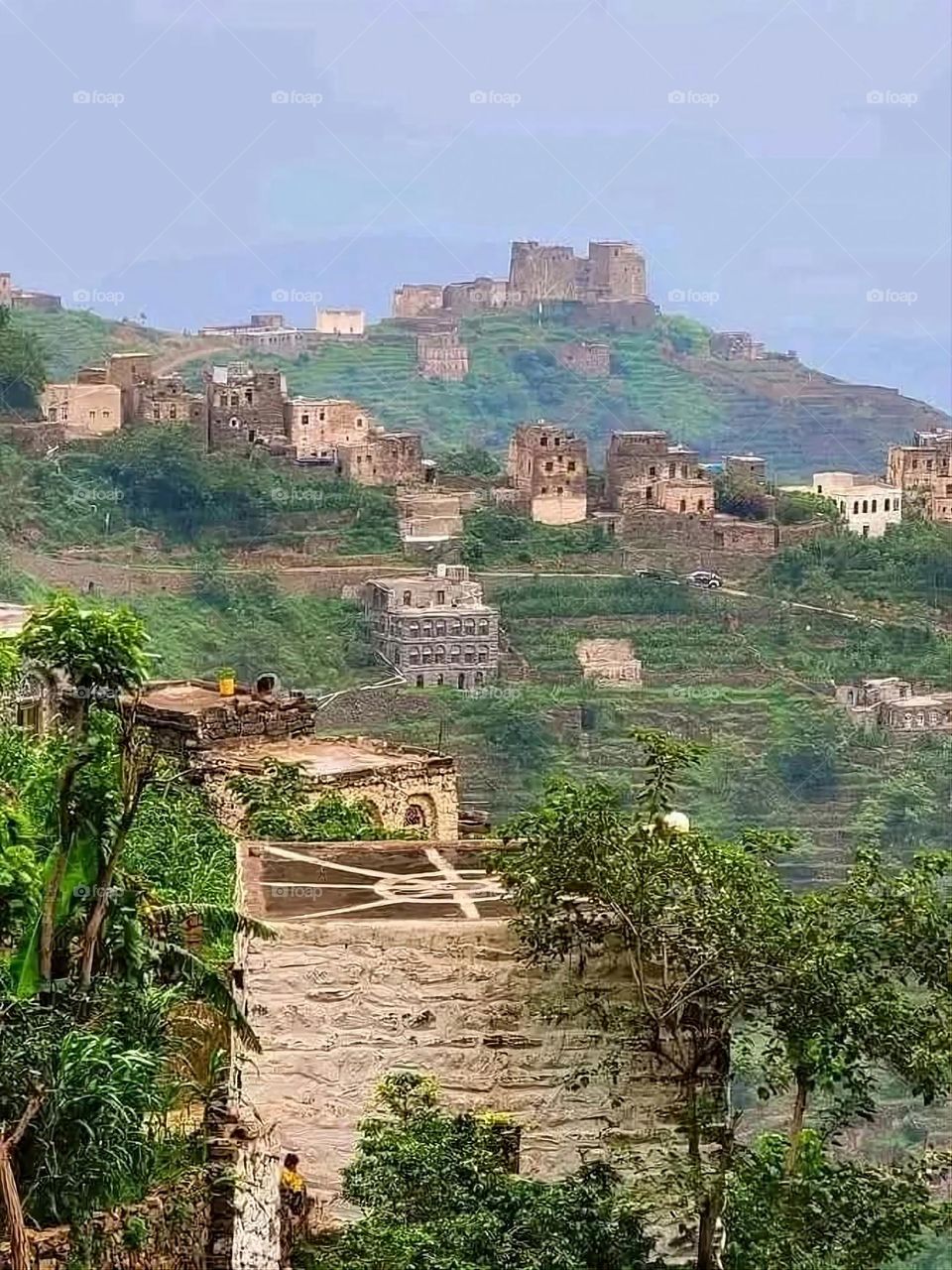 A very beautiful picture, and there is no better picture than it. There is no better picture of green herbs and colorful, red and white roses than it. Glory be to God, the natural and picturesque view, and there is no more