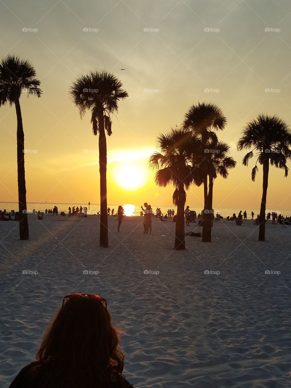 clearwater sunset