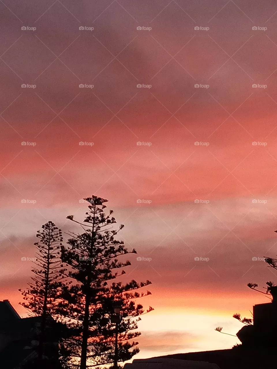 Sunset 🌇