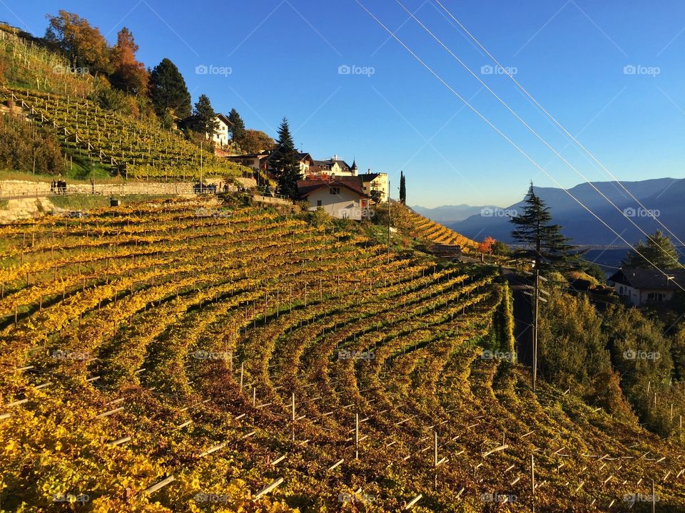 Autumn in South Tyrol