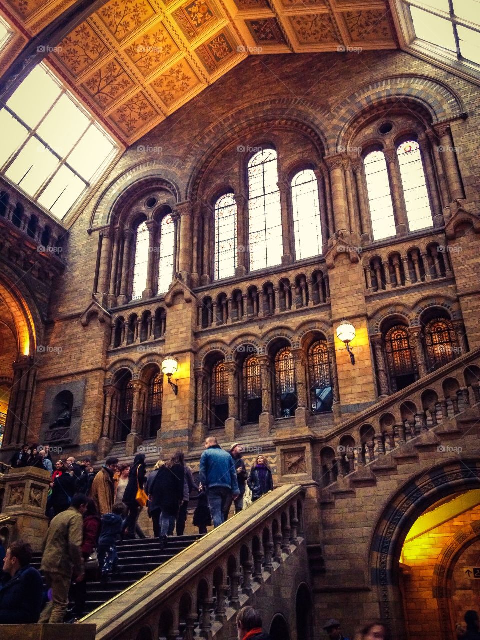 Museo de Historia Natural (London - England)