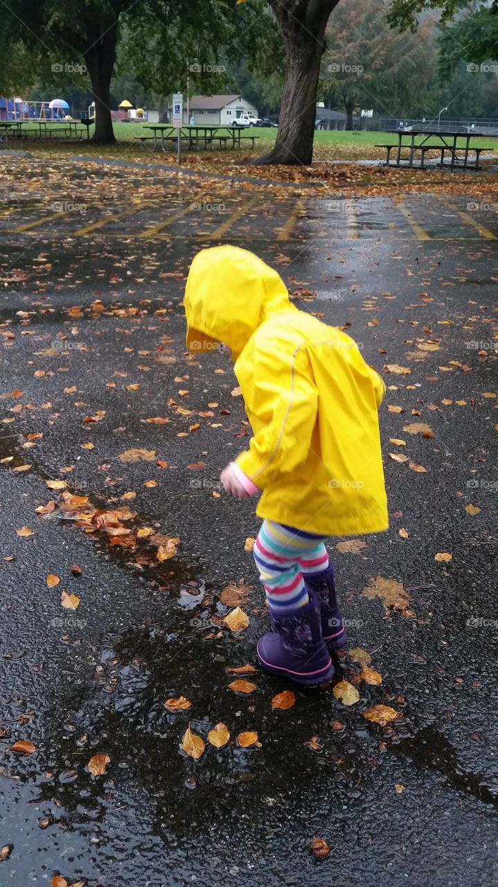 puddle jumping