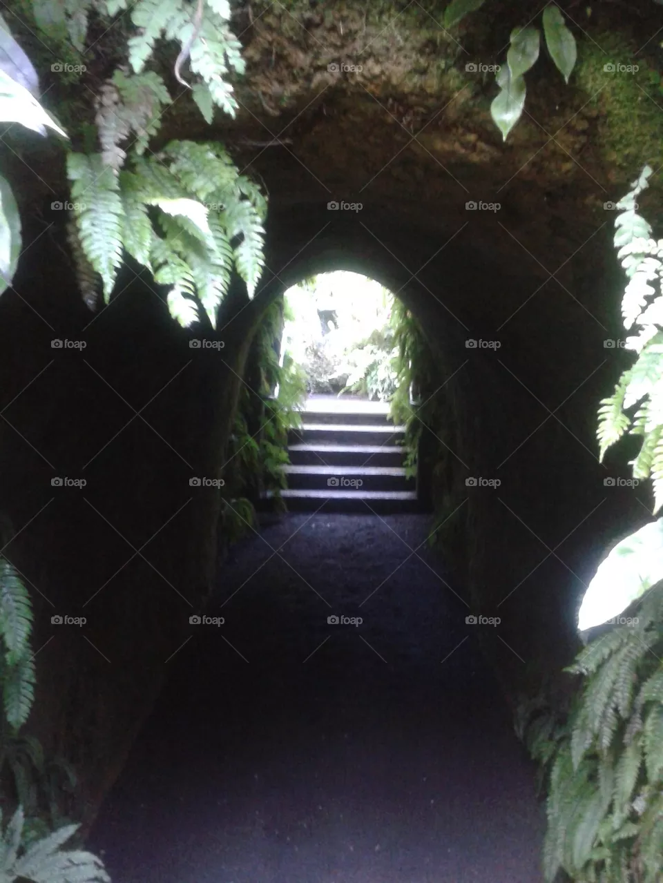 tunnel