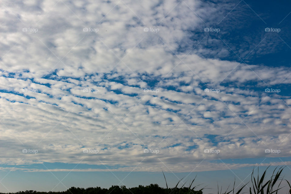 A beautiful pattern of clouds