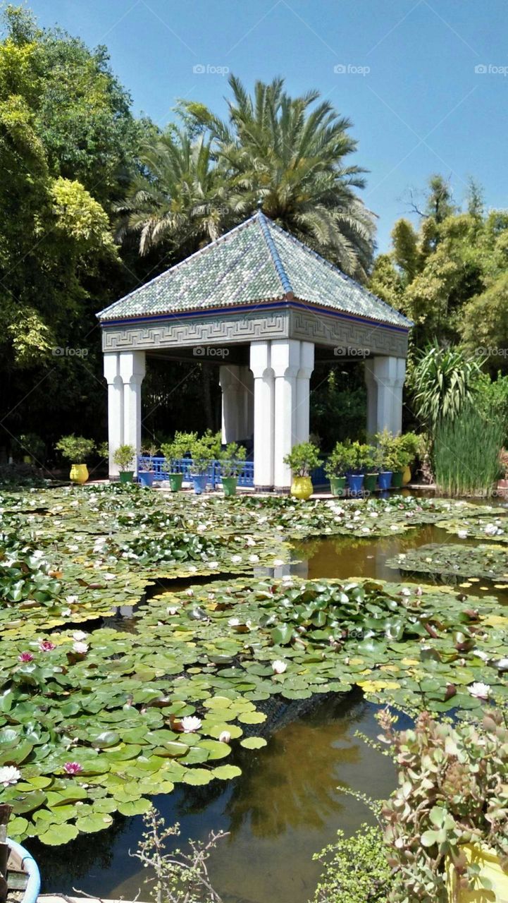 The Majorelle Garden at marrakech city in Morocco.