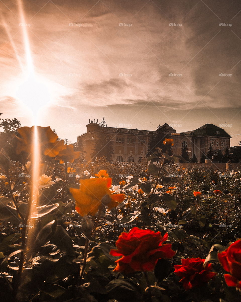 Belgorod state art museum