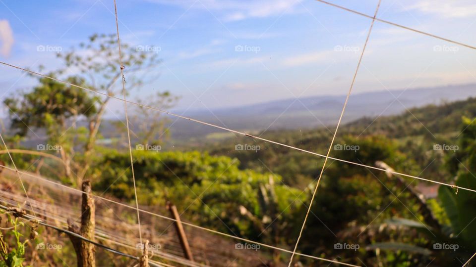 GARDEN STRINGS FORMING SQUARES