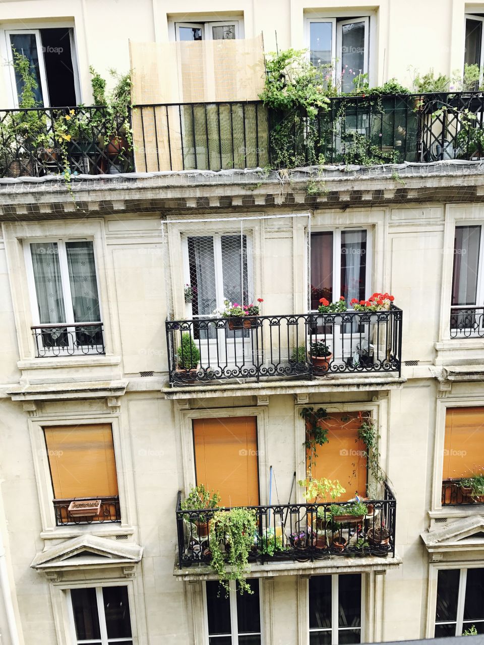 Paris windows 