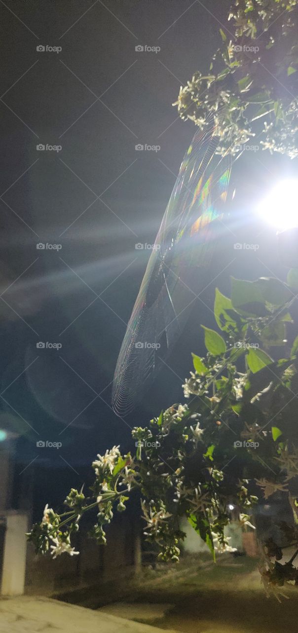 Baby spider web visible in reflection of light