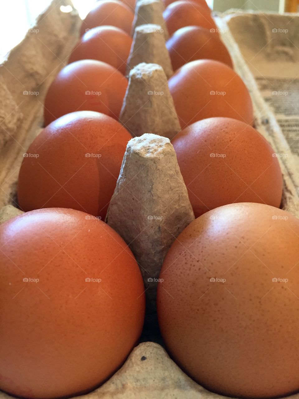Fresh raw brown eggs in carton detail close up