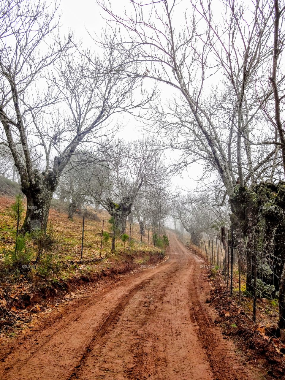 Hiking outside Sevilla, Spain