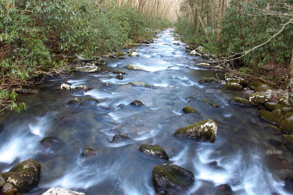 Mountain Stream