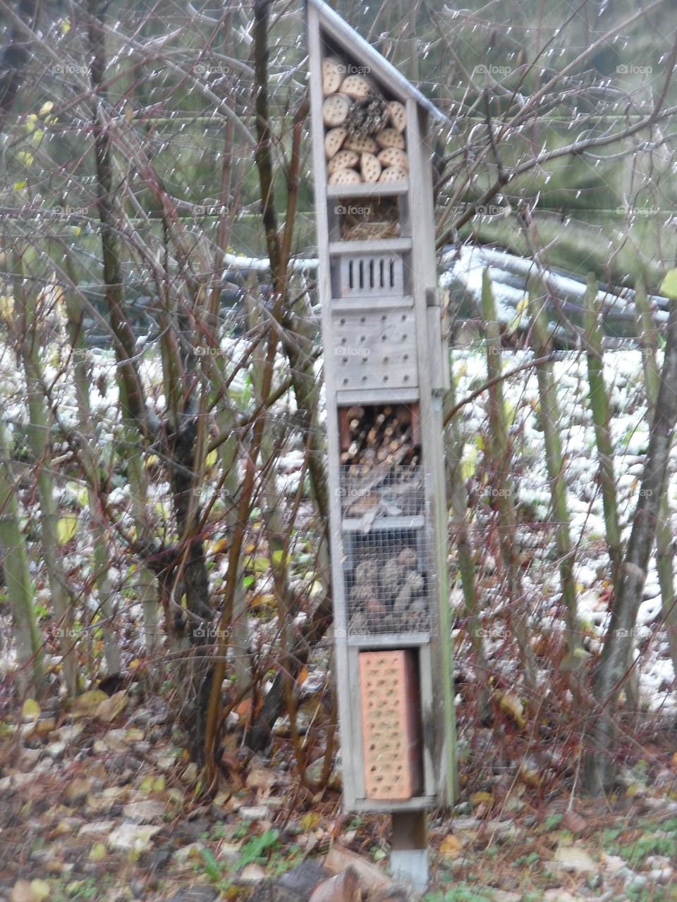 Parc de Mariemont , la Louvière