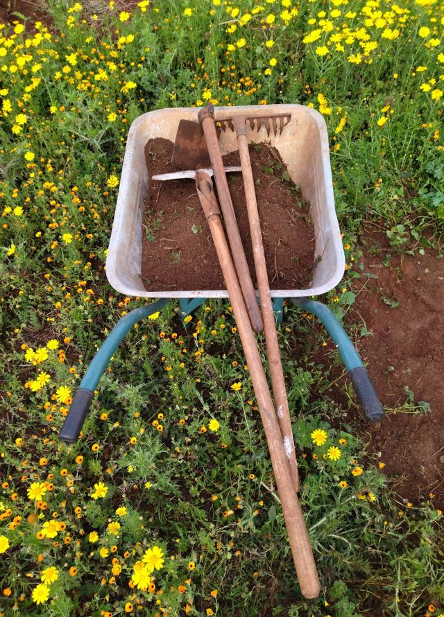 work at the garden