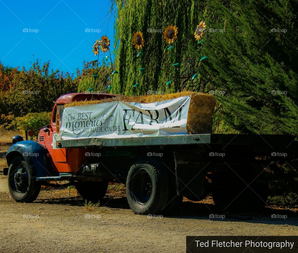 Farm Stand