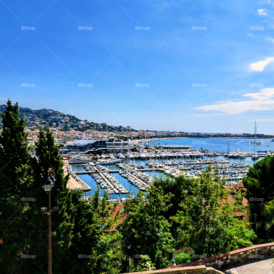 Le Port de Cannes