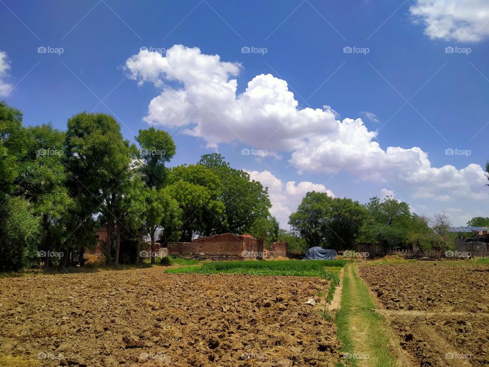 sky with white feather 🤍