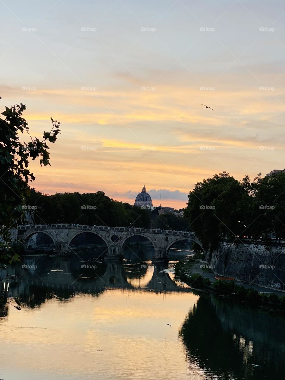 Atardecer en Roma. Contrastes del cielo con lo construido/ la naturaleza y lo artificial.