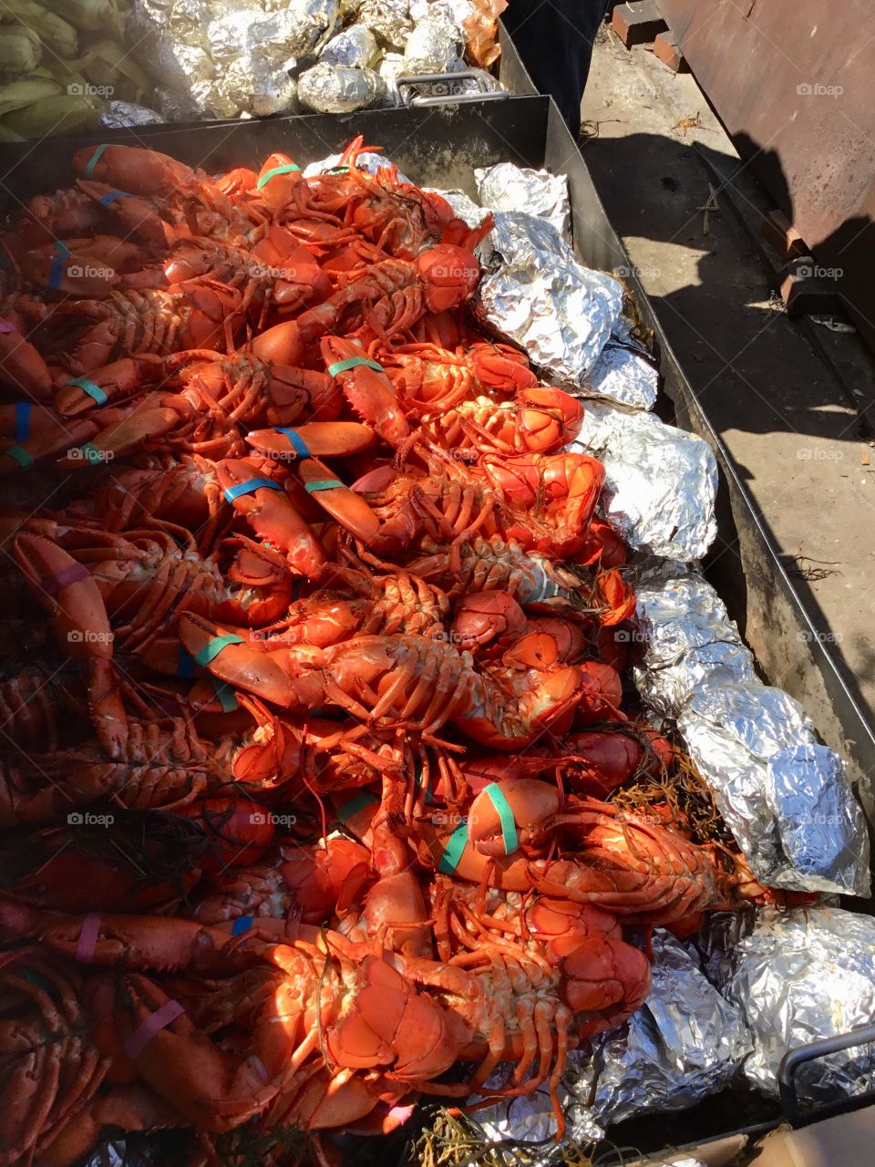 New England Lobster Bake - Fresh Maine Lobsters 🦞