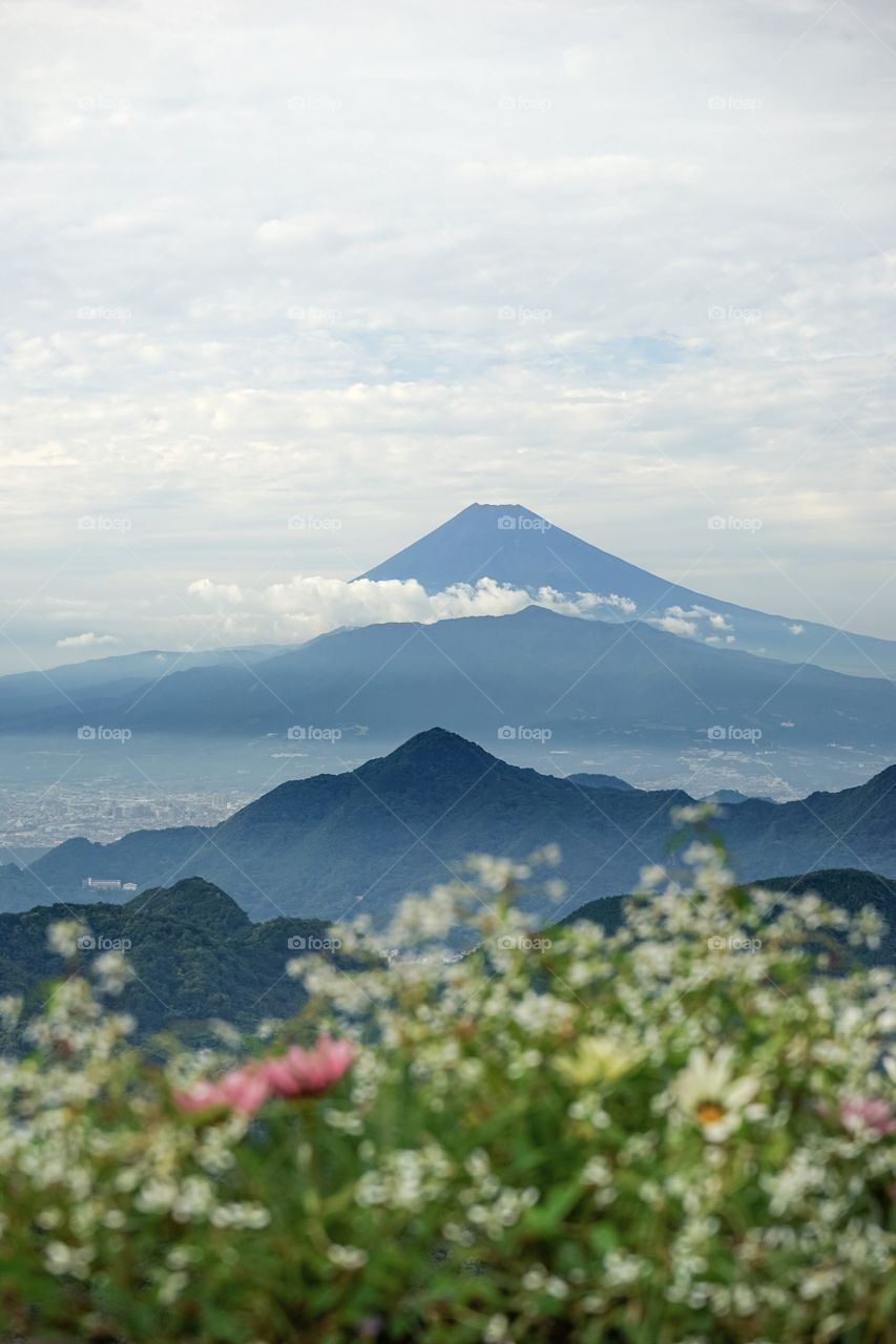 mountain fuji