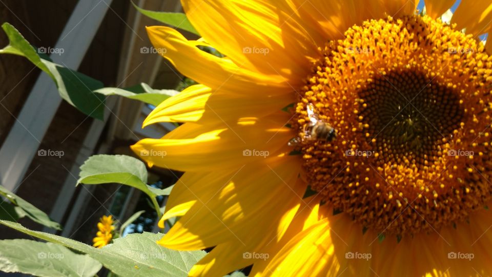 The Beauty Which Surrounds Us