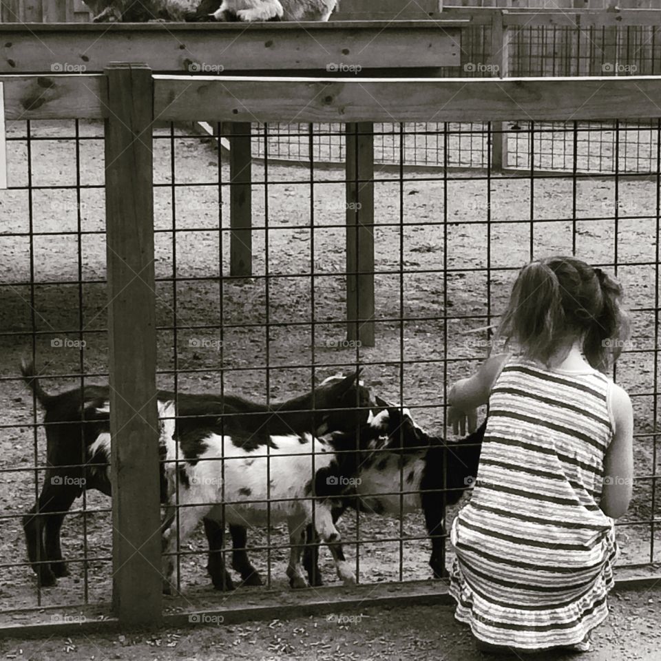 A girl and her goats
