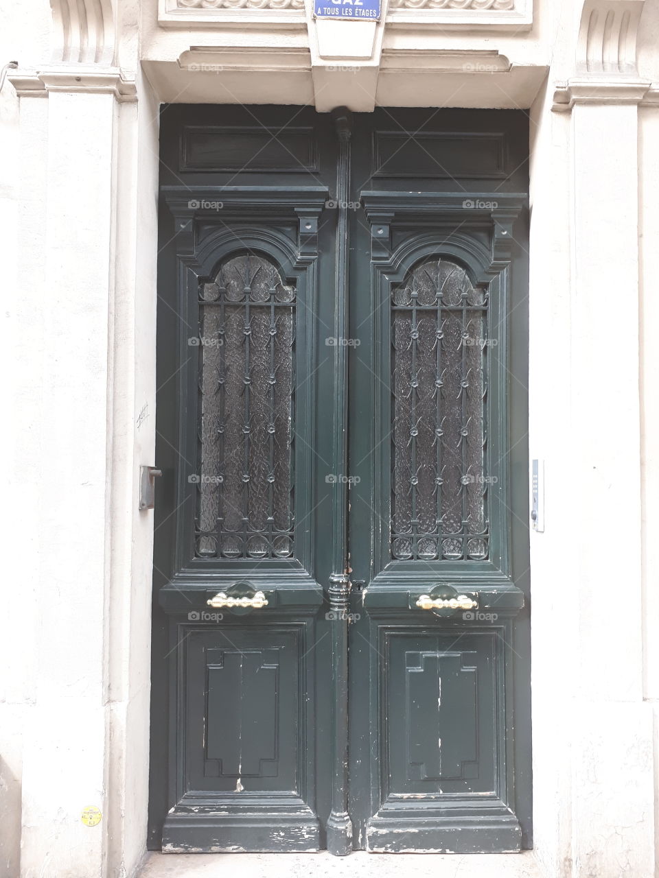 Wooden dark green entrance door with metal grate