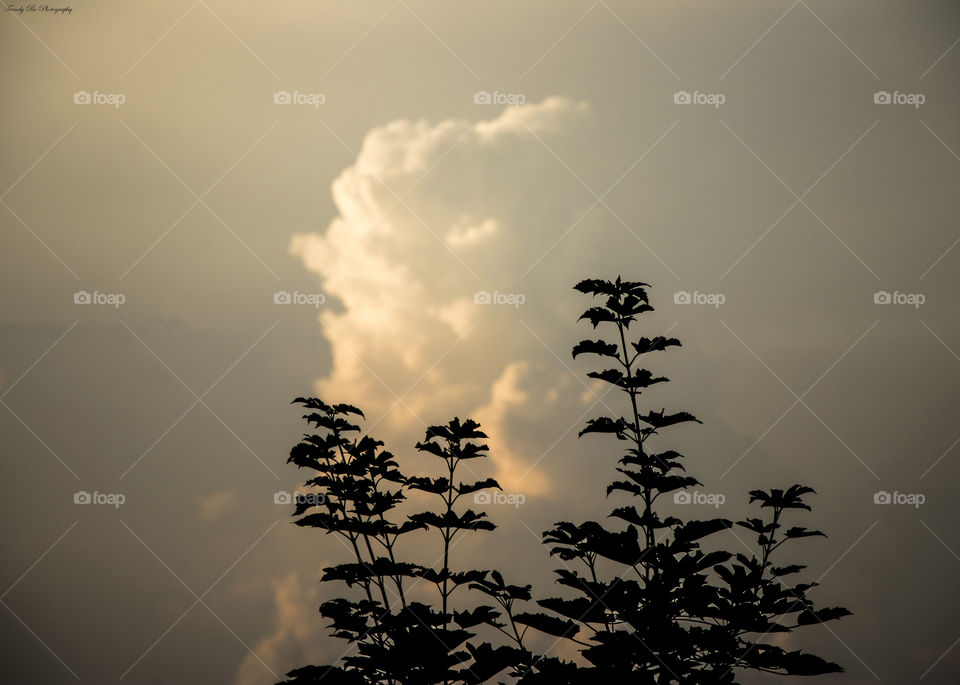 Sunrise in the clouds