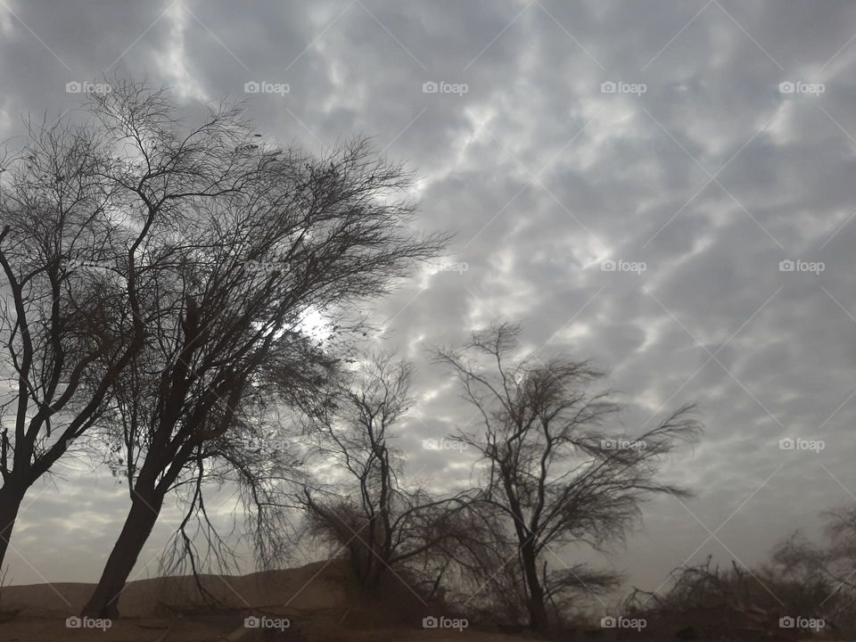 Please make me happy, I am poor, I need your help with support