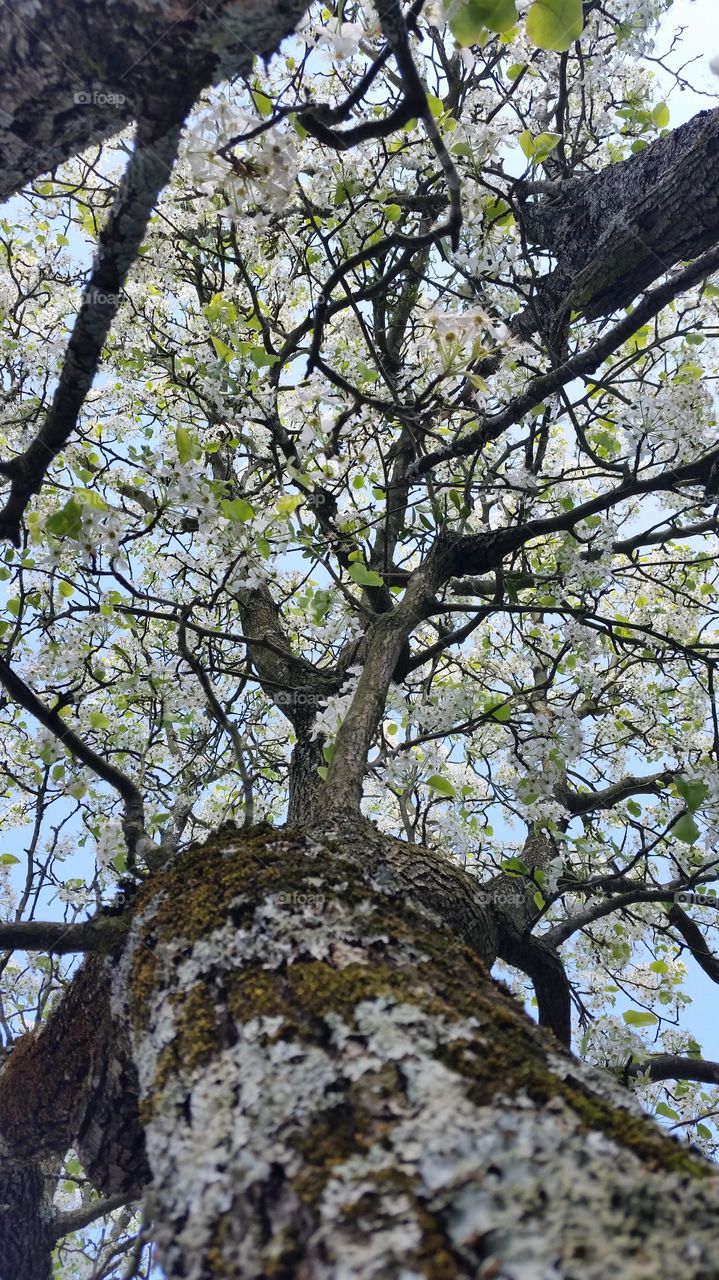 looking forward to summer