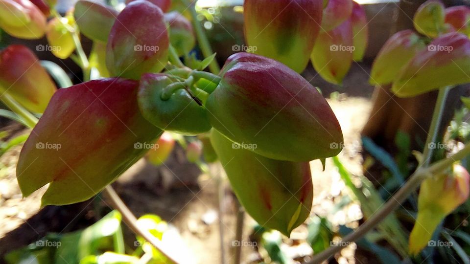 Waiting for them to open 2