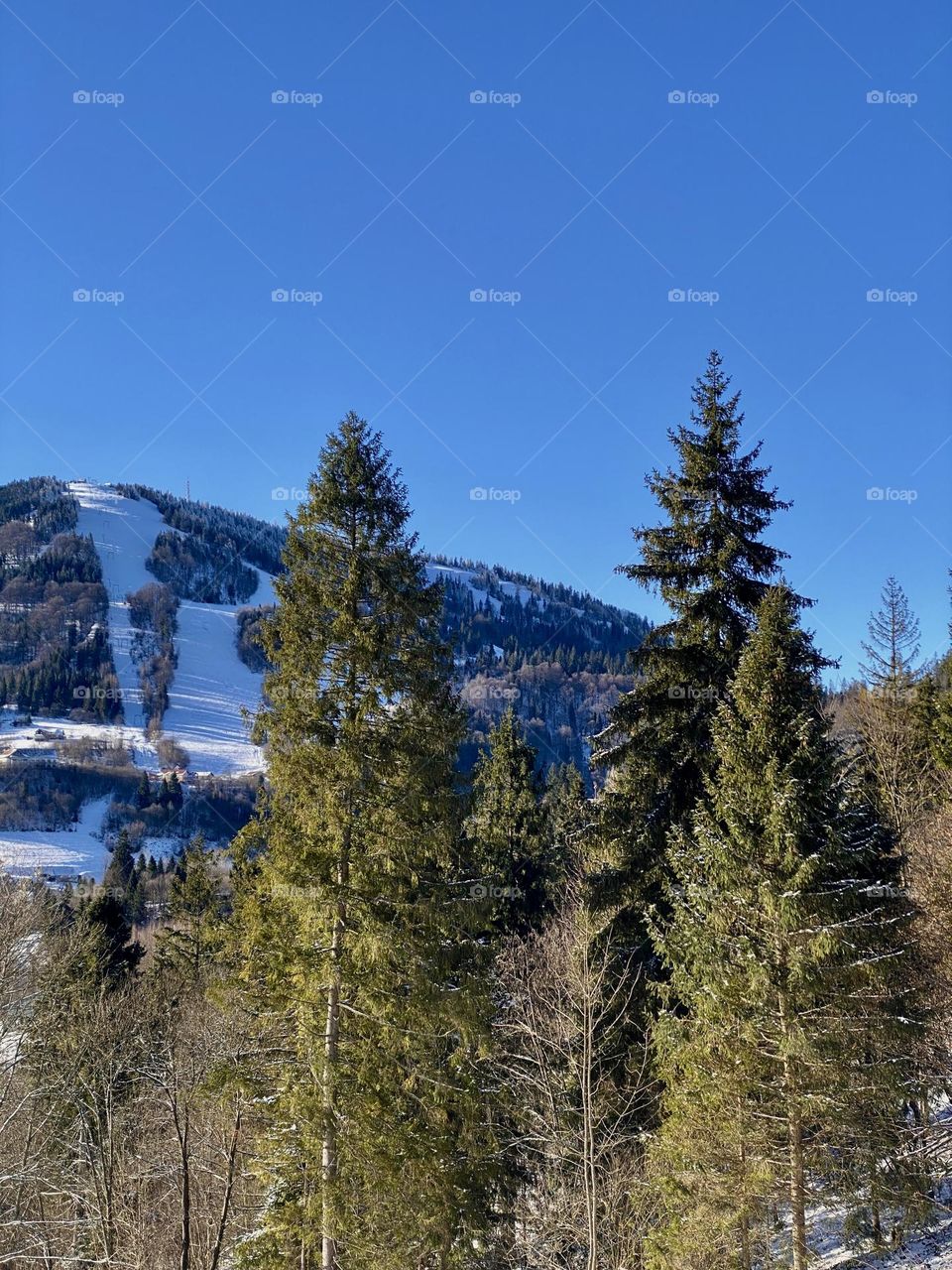 A walk in the winter mountains on a sunny morning. The photo was taken on a phone in Ukraine. In the photo, the Ukrainian mountains of the Carpathians, in front of them are green trees. The photo brings back pleasant memories.