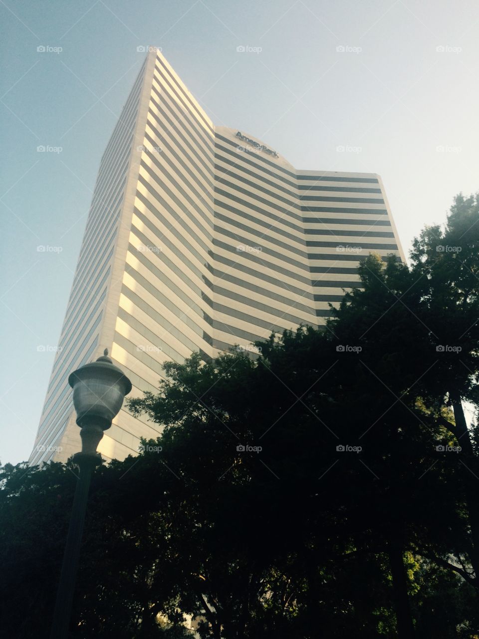 Looking up. Looking up