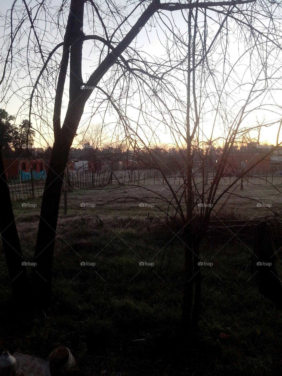 amanecer de invierno en el campo