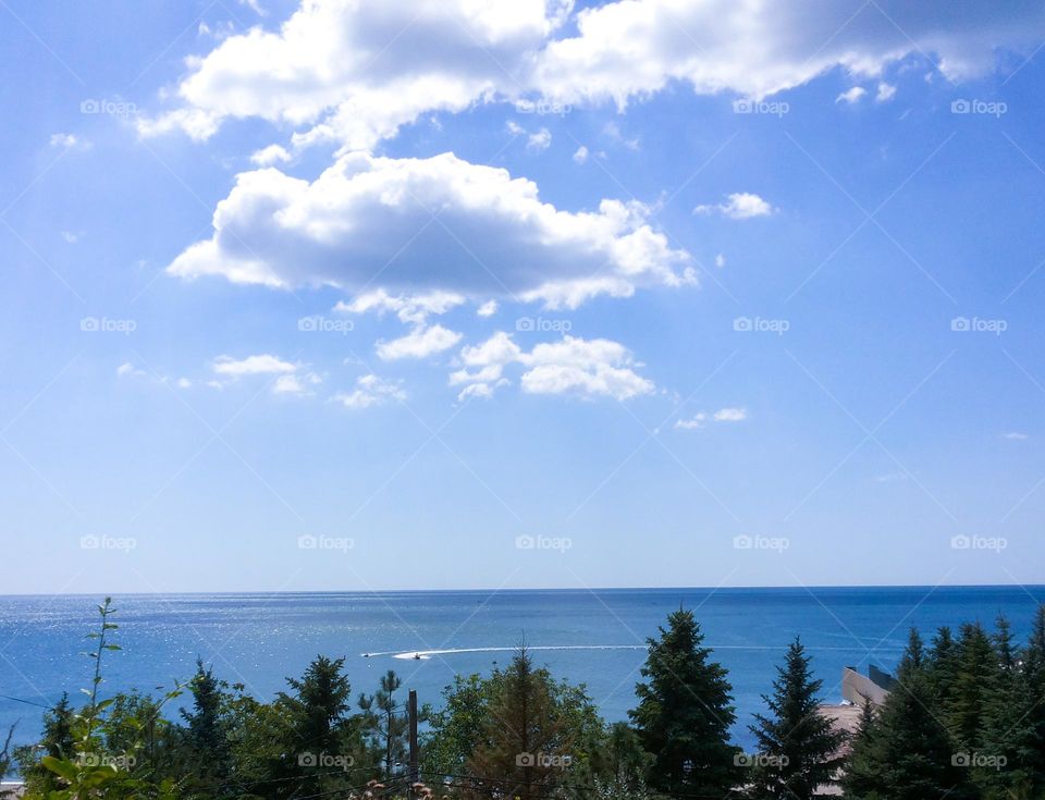 Clouds over the sea and firs