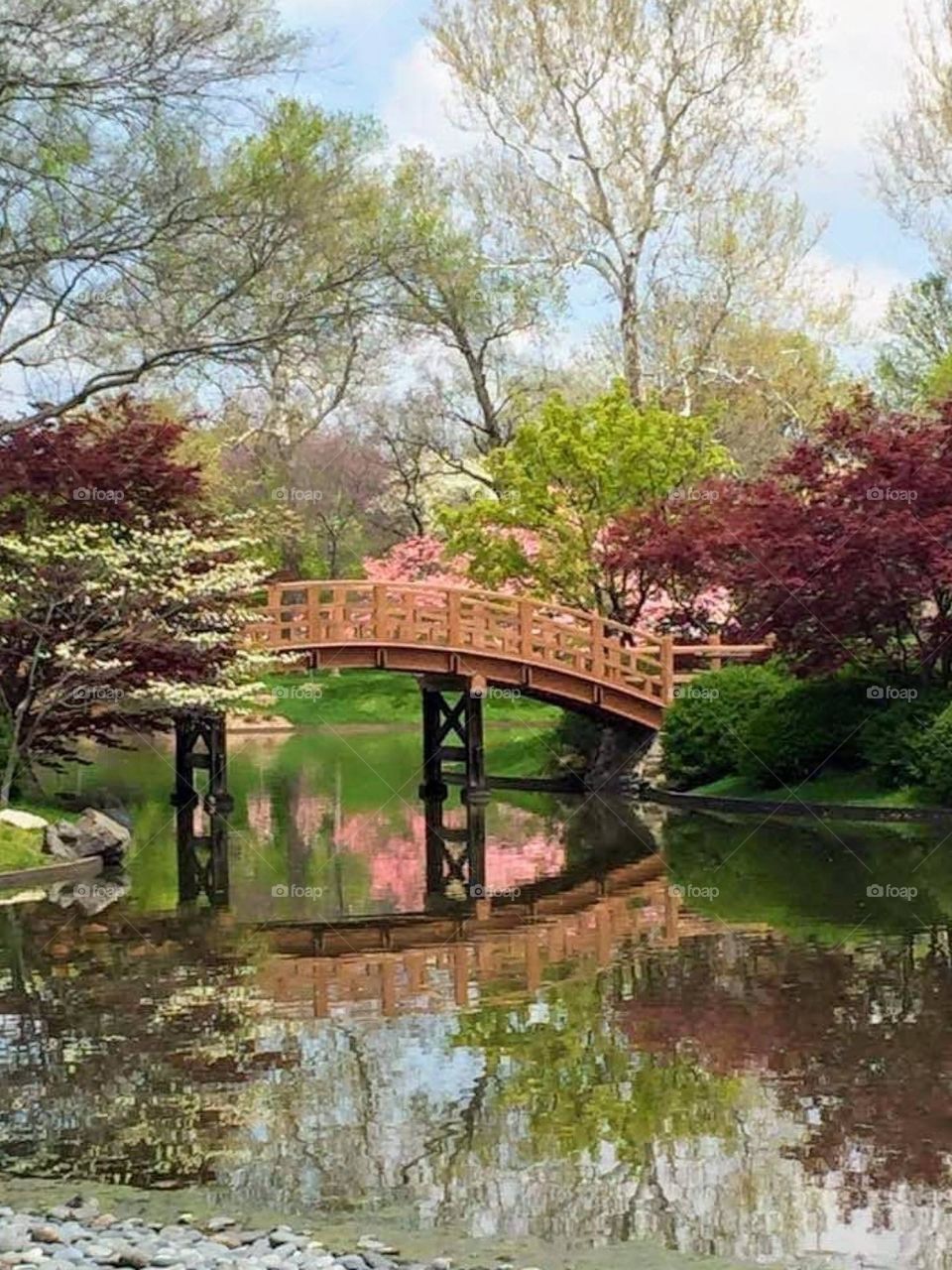 Beautiful lake in the city park