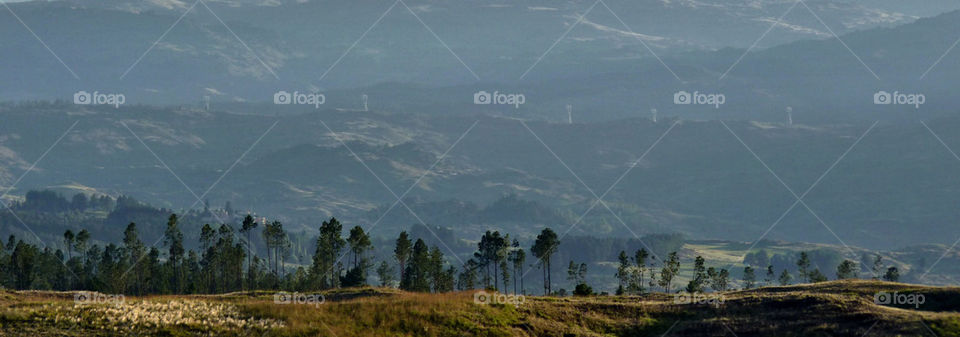 landscape mountain hill pinewood by liondb1