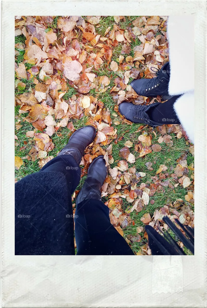 autumn