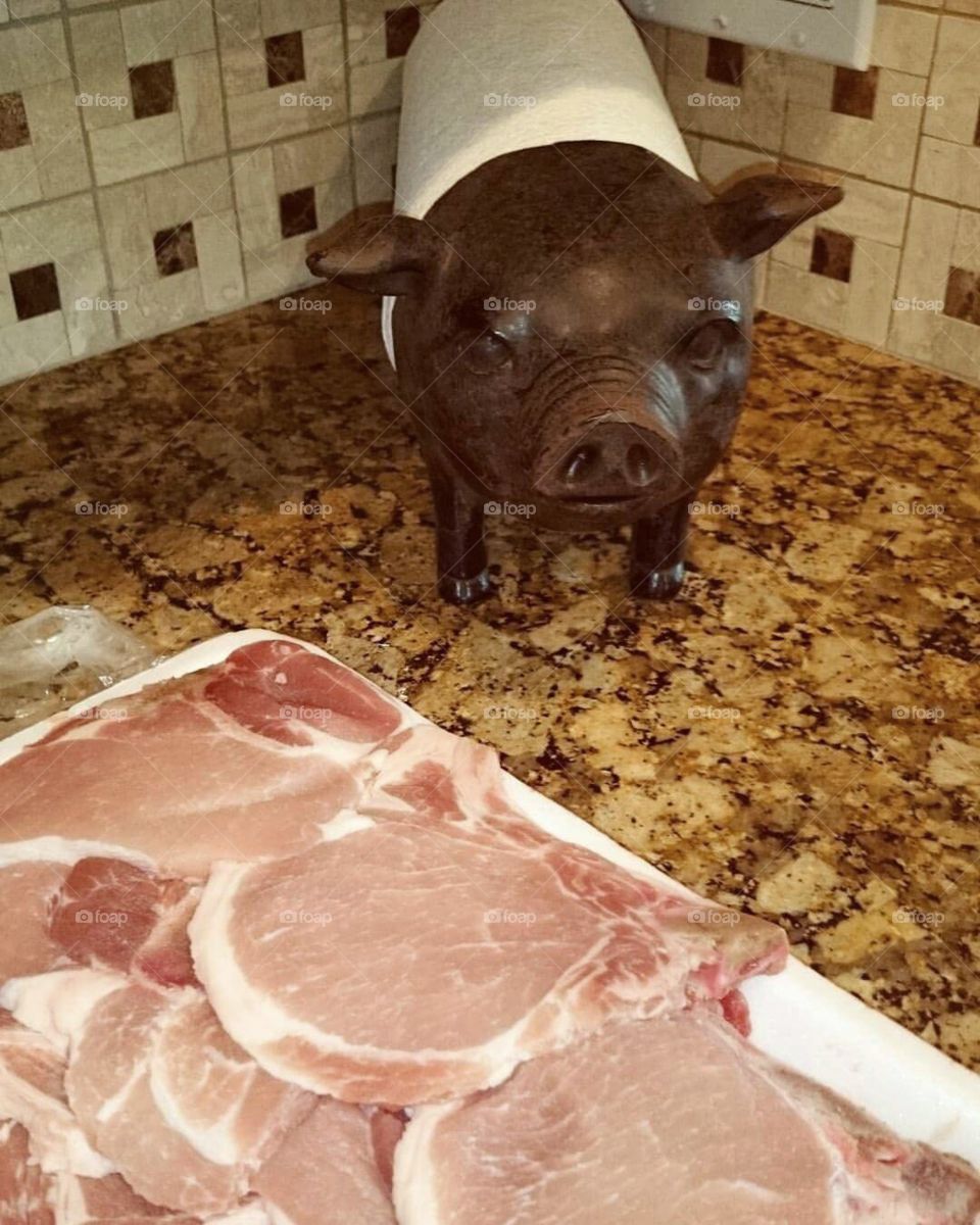 The pig is looking at the pork chops and going hmmm  kitchen cooking