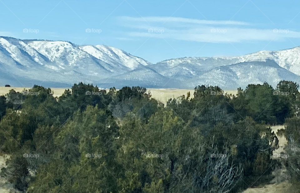 New Mexico Green forest with desert and Snow covered mountains in background…blue skies