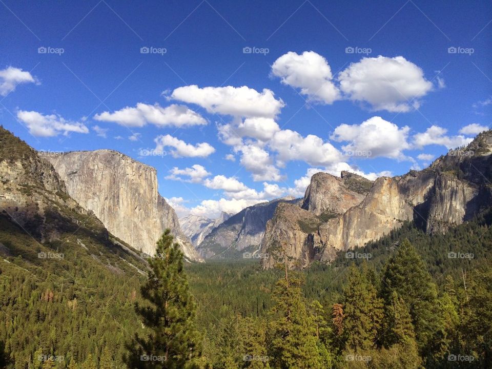 Amazing Yosemite View