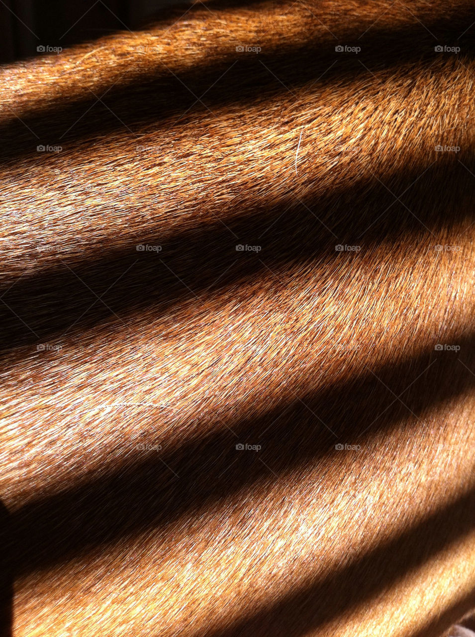 light abstract shadows fur by kzr