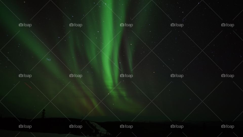 Aurora borealis during night